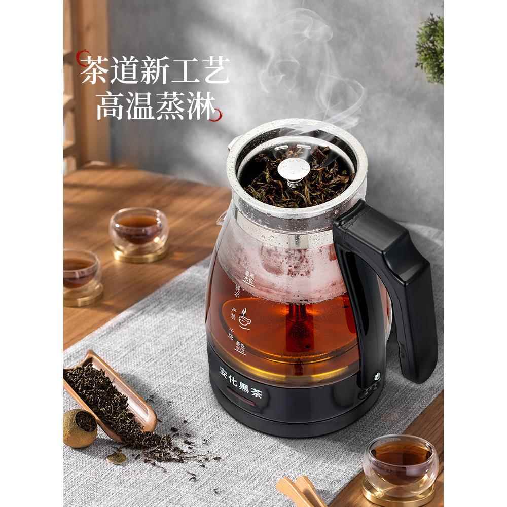 安化黑茶煮茶器壶蒸汽蒸茶家用电喷热烧水壶小办公室淋式蒸FJC型