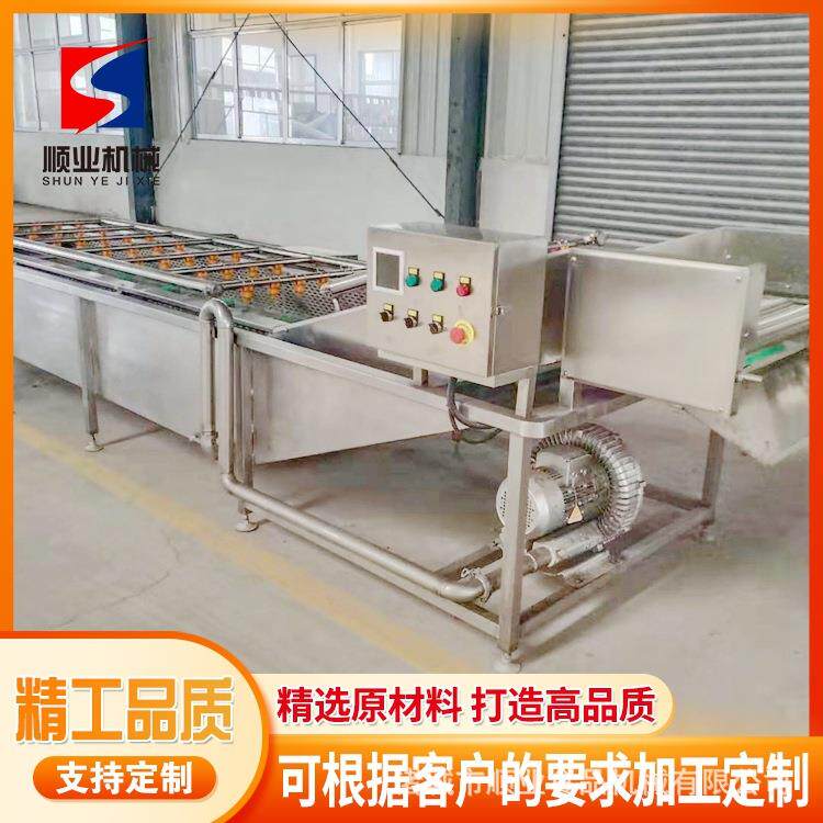 全自动水果蔬菜清洗机 高压喷淋清洗机 海鲜气泡冲浪清洗设备