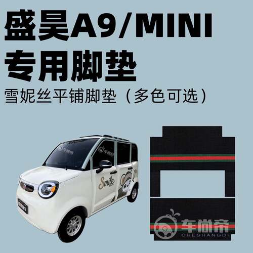 新款【盛昊A9/MINI脚垫】电动四轮车a9专用雪妮丝脚垫丝圈脚踏垫