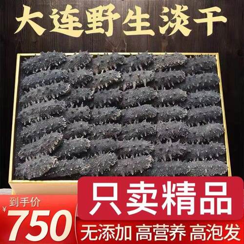 大连野生海参干 干货500g辽参刺参9年淡干海参非即食海参孕妇礼盒