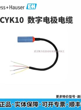 E+H恩德斯豪斯 数字电极电缆CYK10-A101现货