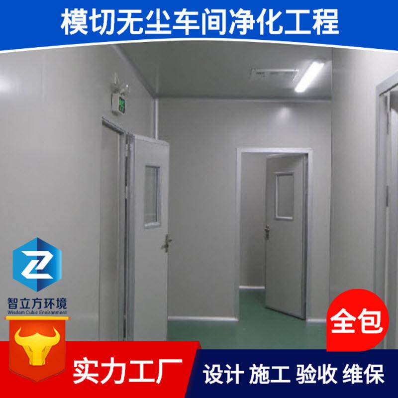 东莞承接模切高效无尘车间ISO6净化工程洁净室安全装修施工维护