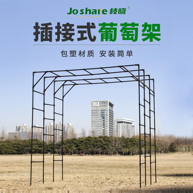 葡萄架插接式花架爬藤架园艺花卉植物支撑架支撑蔷薇爬藤架
