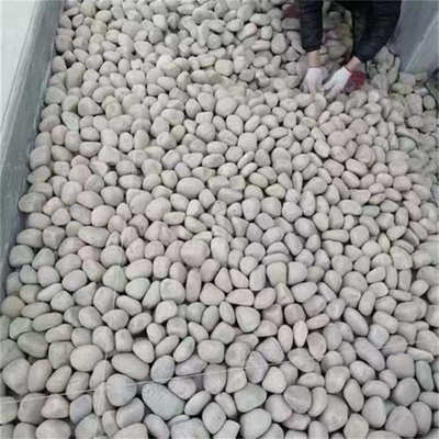 铺路河道鹅卵石电站变压器石河卵石园林造景鱼缸石头河滩石豆石