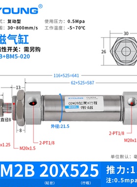 XYOUNG气动不锈钢迷你气缸CDM2B20-50带磁迷你气缸CM2B20-100Z