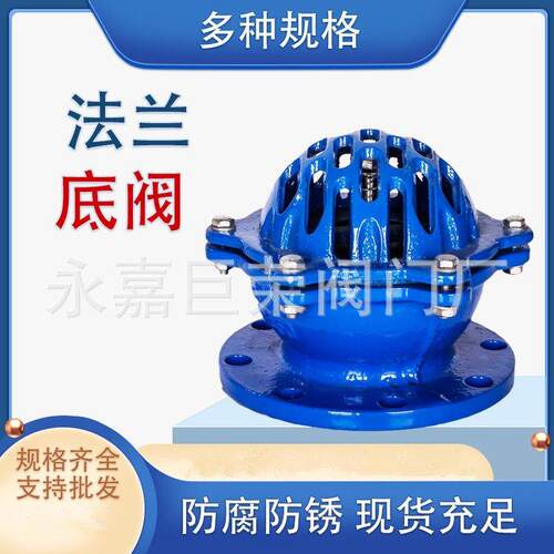 法兰底阀 H42X-25C 大口径 吸水阀 向阀 水泵底阀南生产