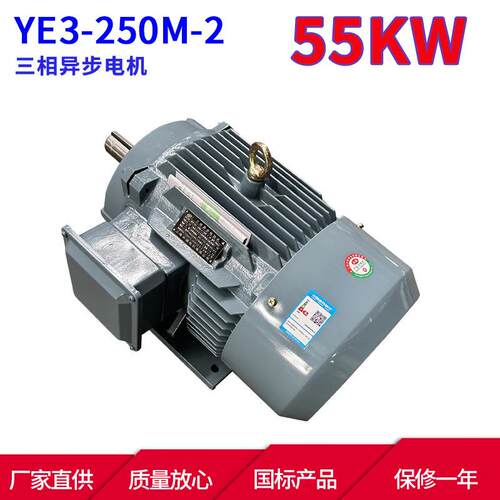 YE3系列马达三相异步电动机YE3-250M-2 55KW 2极三相异步电机本速