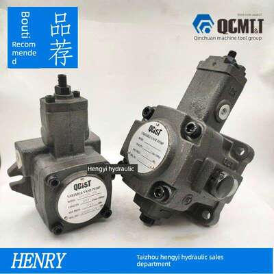 QCIST秦川机床数控油泵VVP15B/20 VVP20B/35 VVP30B/55 VVP40B/70