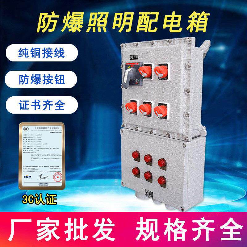 STBXX-5/K1005防爆动力配电箱检修控制箱仪表动力电源接线配电箱