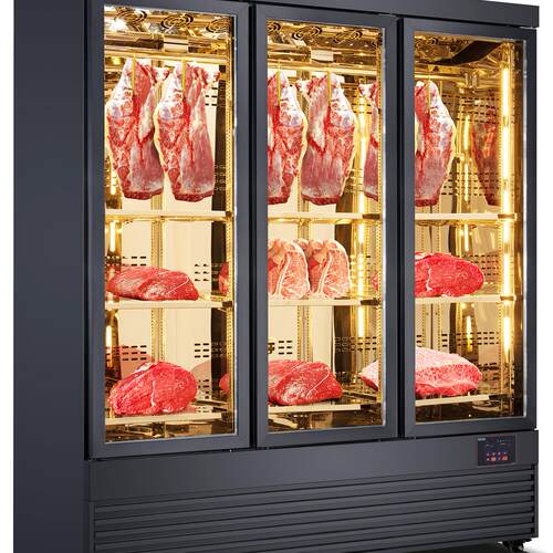 商用熟成柜干湿式牛肉牛排深海鱼家用恒温排酸柜冷冻展示柜