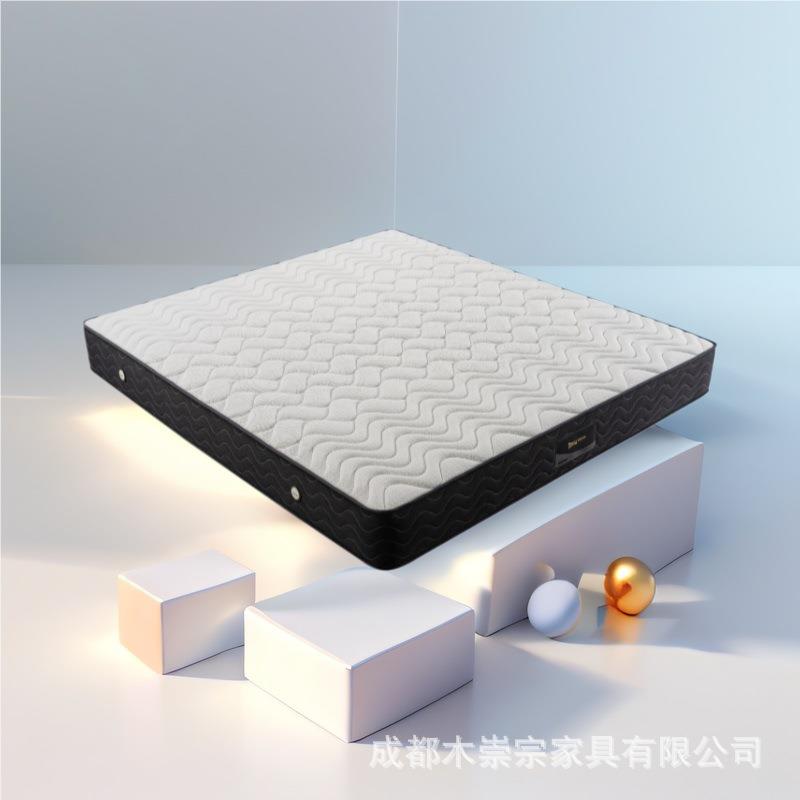 酒店双层护脊3E环保椰棕记忆绵 高回弹海绵乳胶高端床垫席梦思独