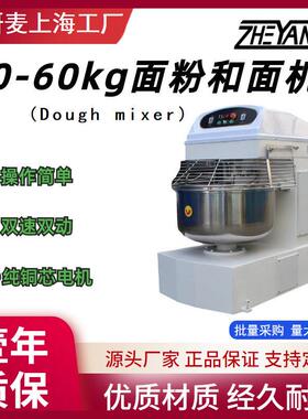 源头厂家大型商用2包粉和面机食堂食品厂揉面搅拌设备doughmixer
