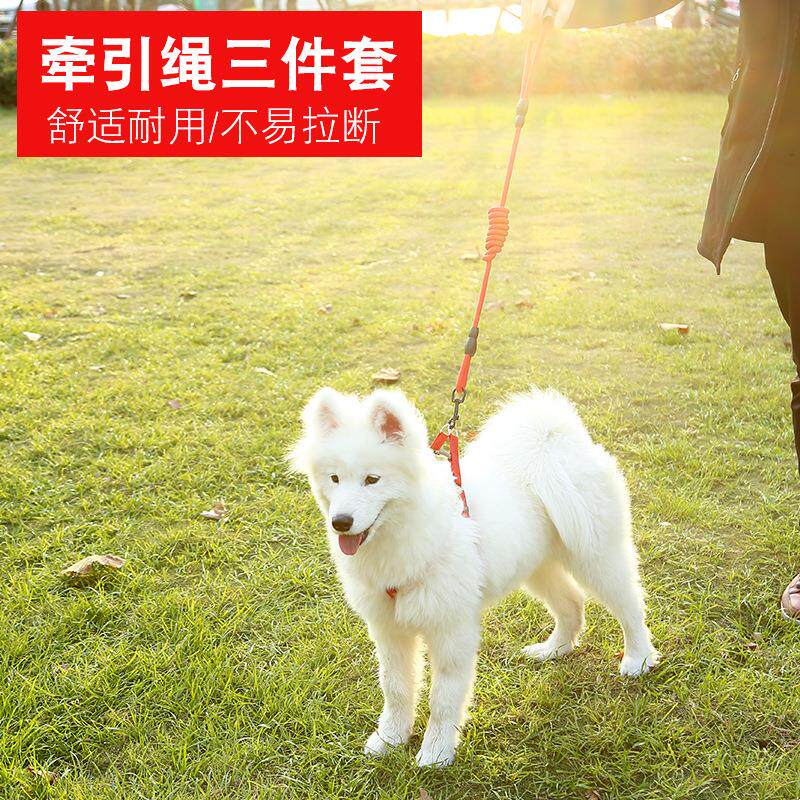 狗狗牵引绳胸背带宠物项圈狗绳链金毛泰迪比熊宠物用品
