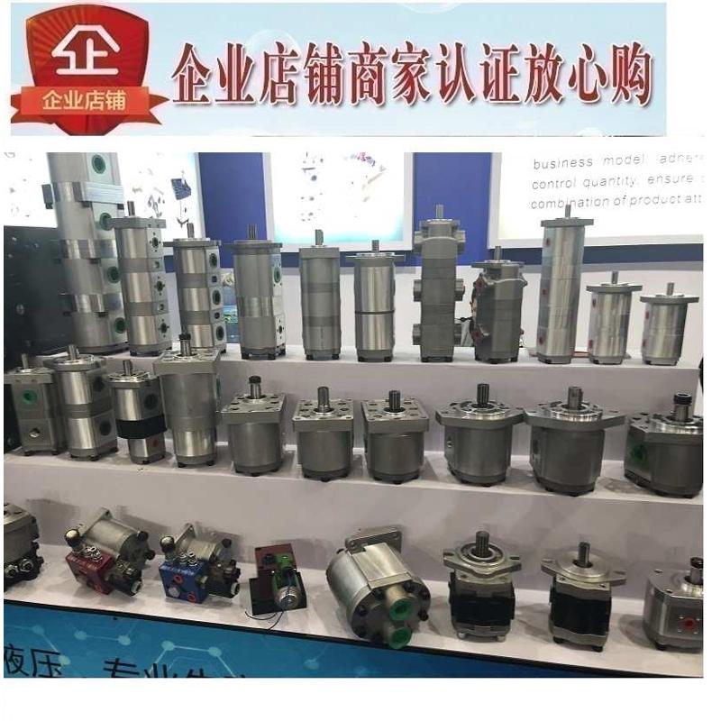 双联齿轮泵HGP-11A-F88R HGP-11A-F44R F22R F11R F33R F55R F66R
