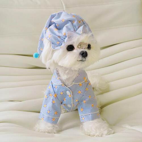 马尔济斯专用衣服狗狗家居服睡衣春秋季款秋天防着凉空调服小体犬