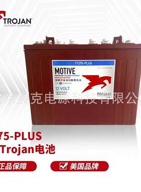 L16P-ACTrojan邱健L16GL16H305P305HGT-105T-125牵引电池