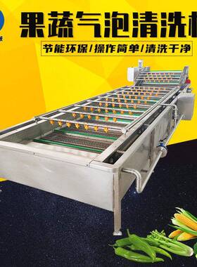韭菜清洗机全自动预制菜腌制菜气泡清洗机商用多功能喷淋式洗菜机