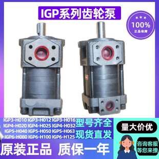 H010 125 内啮合齿轮泵IGP3 100