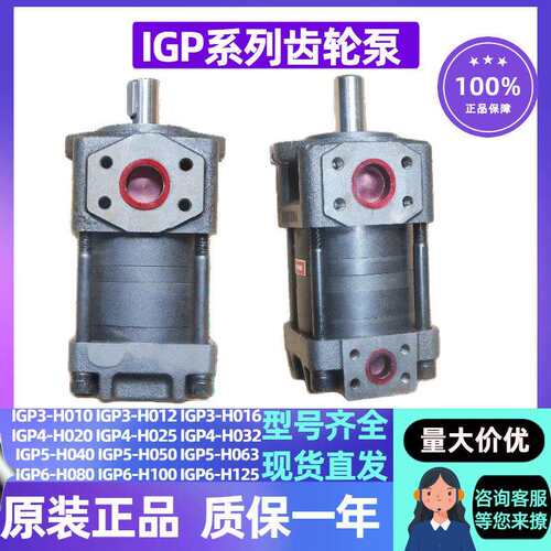 大流量齿轮泵IGP5-H040H050H063IGP6-H080H100H125液压泵头 - 封面