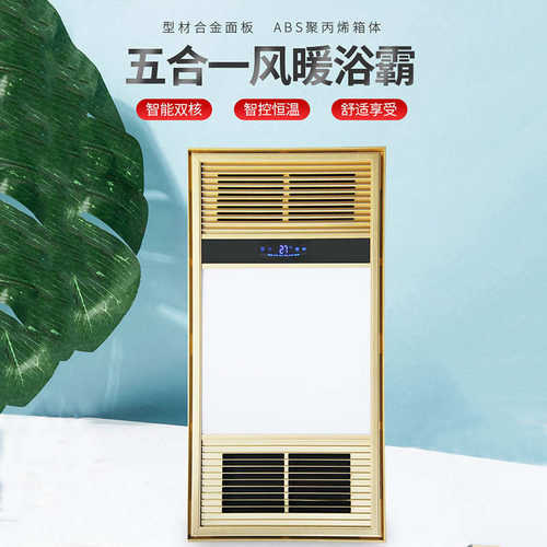 风暖浴霸 卫生间浴室排气智能取暖浴霸 集成吊顶浴霸多功能五合一