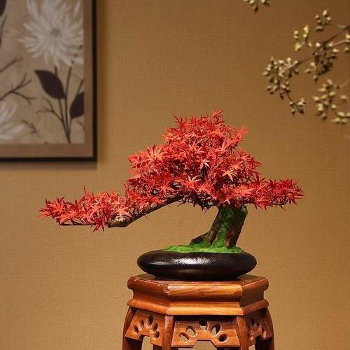 仿真玄关绿植迎客松实木摆件红枫树盆景新中式客厅博古架茶室装饰