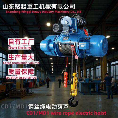 起重电动葫芦2吨钢丝绳电动葫芦工业厂房升降起重吊运电动葫芦