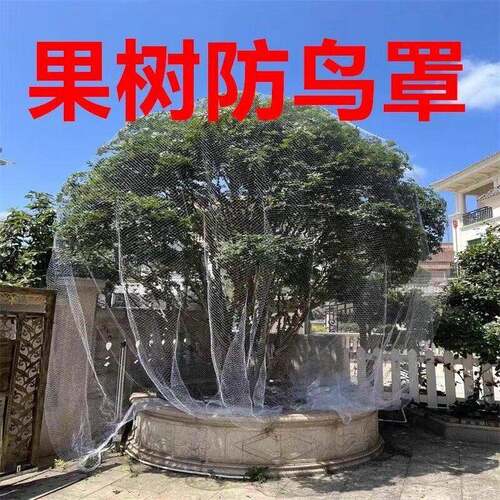 新款果树防鸟罩嘉宝果枇杷樱桃蓝莓果园尼龙防护网菜地阳台防鸟网