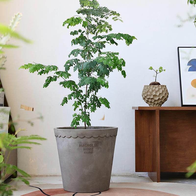 创意落地水泥花盆民宿客厅陶盆大号庭院盆栽文艺工业风树盆大口径