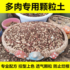 多肉专用土颗粒土盆栽植物营养土壤肉肉培育土多肉小苗老桩种植土