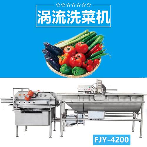商用涡流洗菜机水果蔬菜清洗去污杀菌洗菜机FJY-4200型工厂特惠
