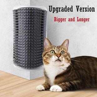 Cats with Self Groo Toys Massage Cat Corner Brush Catnip