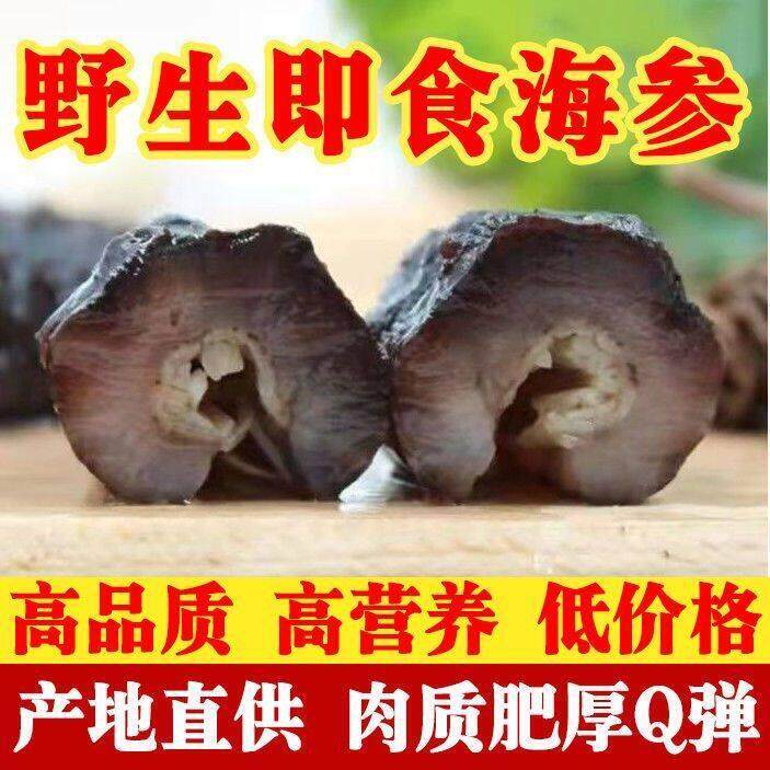 即食海参大乌参赤虫参野生个大肉厚冷冻饭店餐饮酒店茄参海茄子