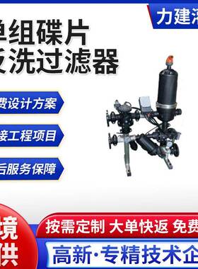 定制组碟片反洗过滤器滴灌农用碟片灌溉农业喷灌喷淋盘式过滤器