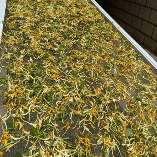 野生金银花250g半斤干货农家自产开水泡茶或外用婴儿洗澡