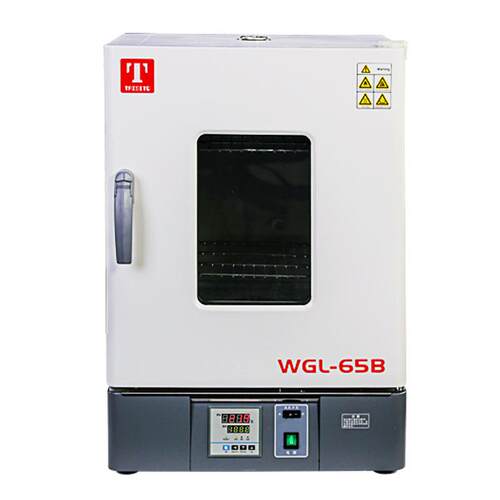 天津泰斯特WGL65B/WGLL65BE系列 烘箱300度电热恒温鼓风干燥箱