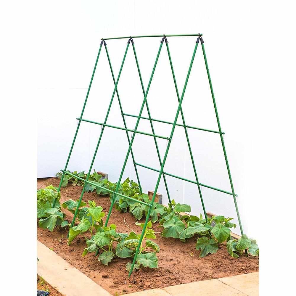 爬藤杆黄瓜爬藤架豆角架杆西红柿架种菜蔬菜搭植物支撑杆包塑钢管