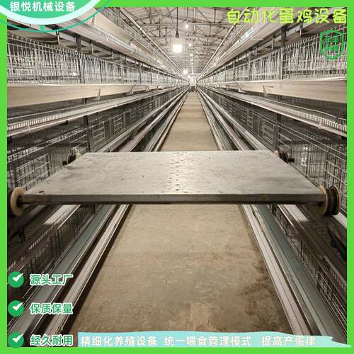三层四层小层叠蛋鸡笼养殖设备/层叠式全自动化捡蛋清粪/养鸡设备