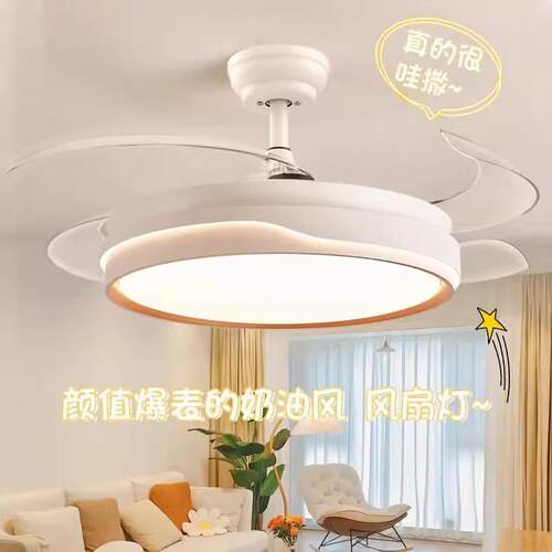 简约百搭隐形风扇灯吊扇灯2025新款吸顶家用客厅餐厅卧室电扇吊灯
