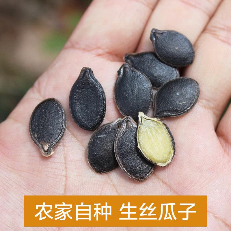 哀牢彝家黑瓜子云南特产 生绞丝黑瓜子500克黑金刚瓜子