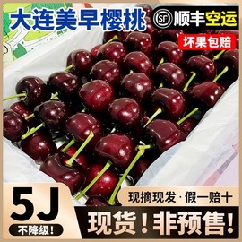 大连美早大樱桃国产车厘子新鲜水果整箱5斤jjjjj当季