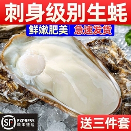 正宗乳山生蚝鲜活特大带，箱海鲜牡蛎海蛎子，肉水产整箱商用