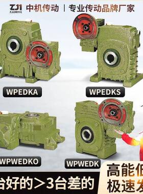 WPEDKA WPEDKS WPWEDKO WPWEDK 铁壳蜗轮蜗杆减速机齿轮变速箱