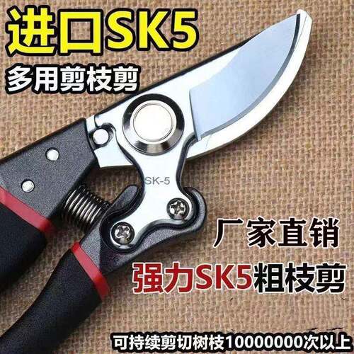剪枝剪刀园艺剪树枝果树果枝修枝剪花剪园林花艺强力省力粗枝剪子