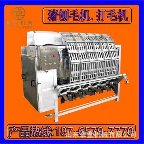 全自动生宰猪液压刨毛机 整打毛ZY-PMJ机 自动化屠流水线锈不钢猪
