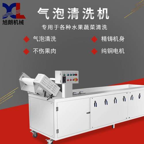 气泡清洗机全自动小型葡萄红枣水果风干洗菜机果蔬清洗机工厂