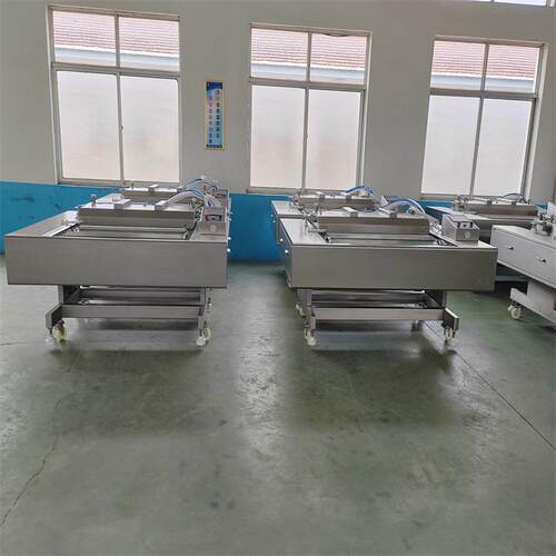 滚动式真空包装机可倾斜式真空包装机工厂小型真空包装设备