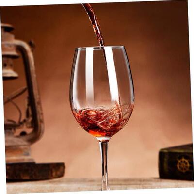 Acrylic plastic red wine glasses of champagne cup wine glass