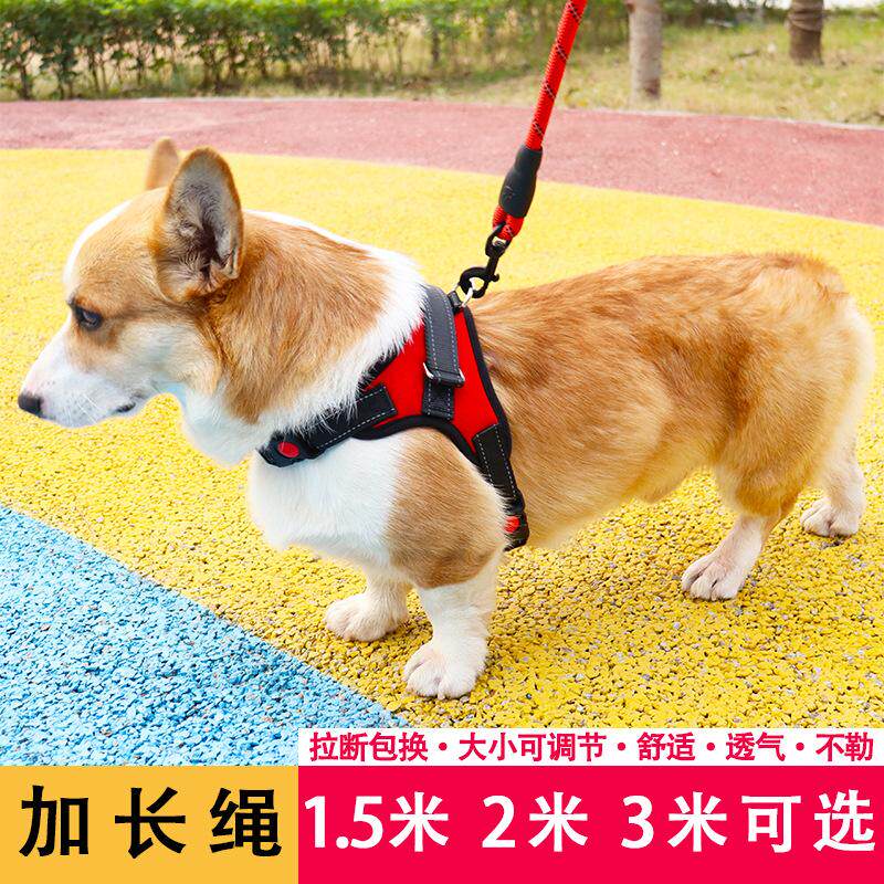 大型犬狗狗牵引反光背带狗牵引绳