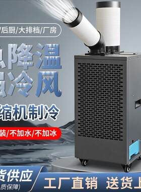 厂家直供大批量冷风机1P移动空调方便工厂车间工人厨房办公室