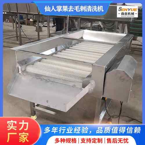 仙人掌果清洗机器仙桃毛刷去刺清洗机桃子李子水果平行毛辊清洗机